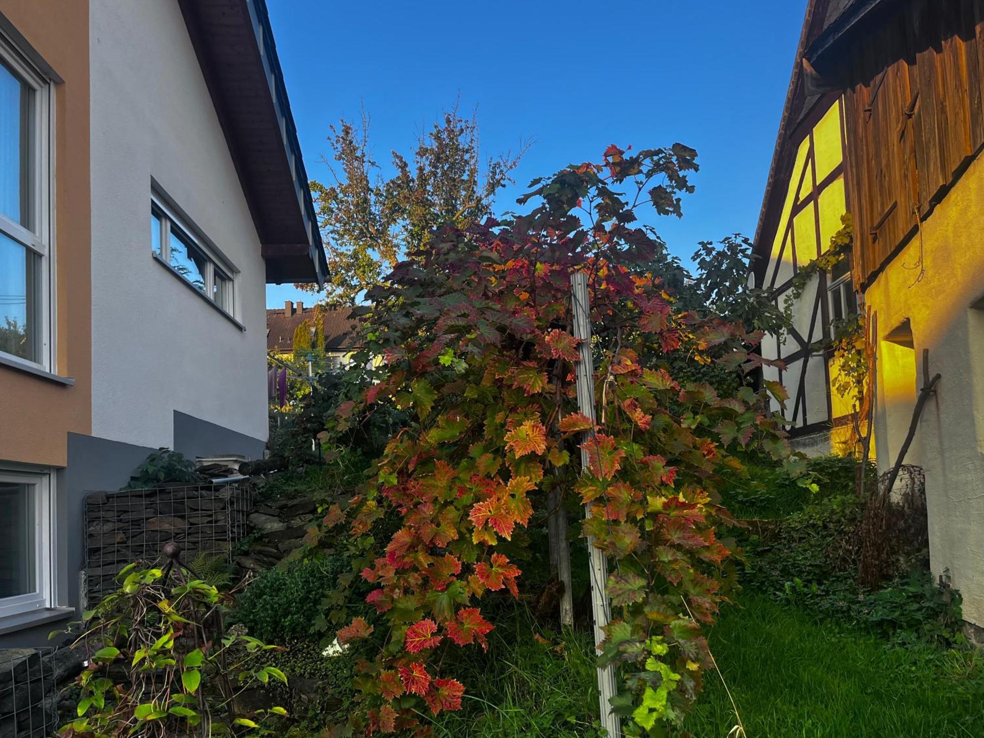 Kleine Auszeit - Ferienwohnung Heideberg - "Rhein" In Den Urlaub บาคาราค ภายนอก รูปภาพ